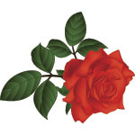 Photo of Margaret  E. Paxson's icon