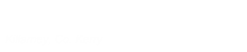 Bernie McCarthy